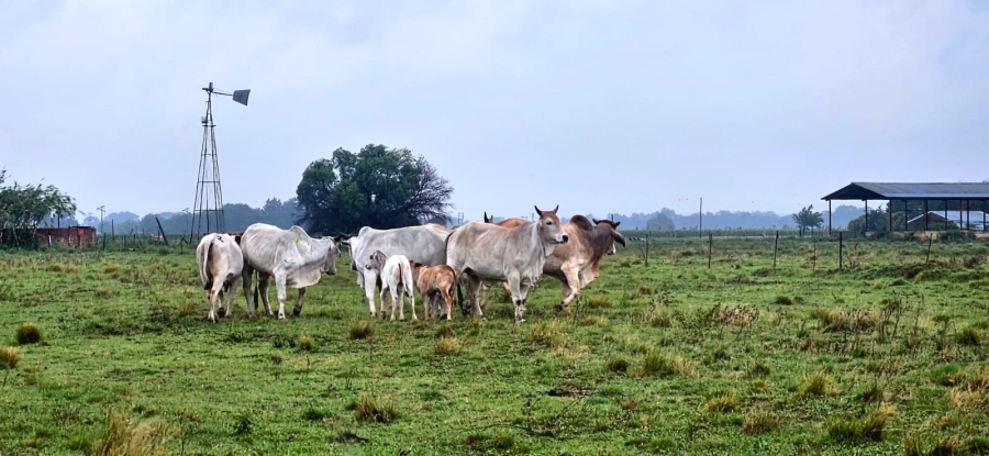 Commercial Property for Sale in Bloemfontein Rural Free State